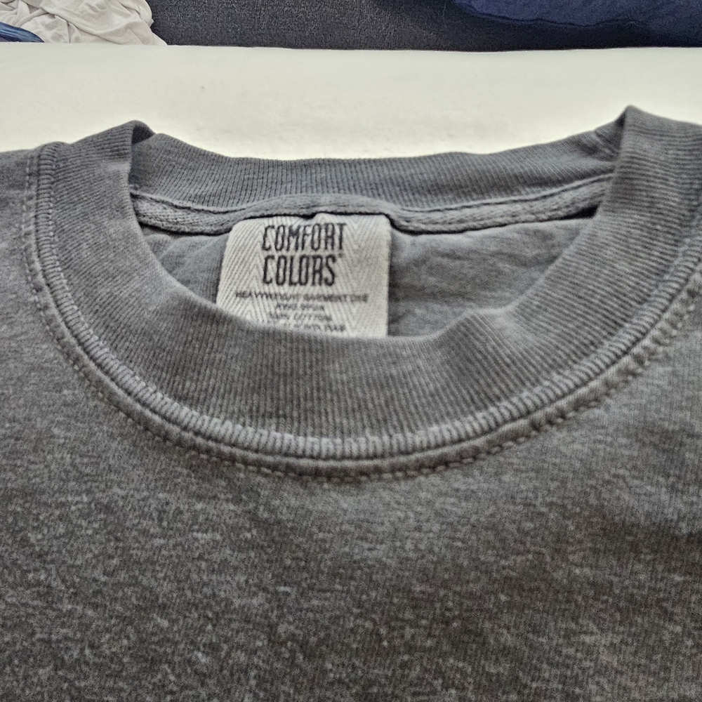 Y2K Comfort Colors Charcoal Graphic Tee - Picture 6 of 9